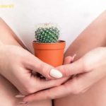 Chem chép của con gái nghĩa bóng là gì?